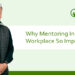 Why Mentoring In The workplace so important?